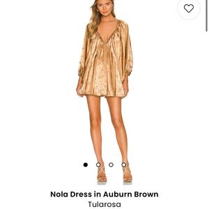 Tularosa Nola Dress in Auburn Brown Size XS